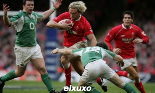 Concussion in rugby